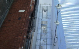 DIGITAL CAMERA