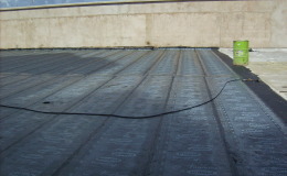 DIGITAL CAMERA