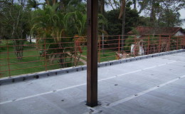 DIGITAL CAMERA
