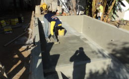 DSC07529