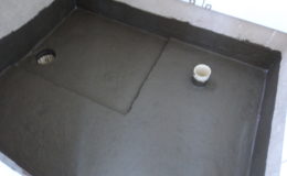 dsc07361